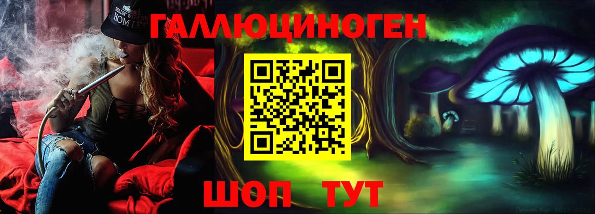 Псилоцибиновые грибы Psilocybine cubensis Кубинка